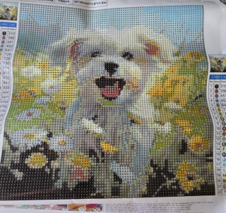 Diamond Painting Malteser Charlie